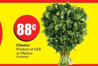 FreshCo Cilantro product of usa or mexico offer