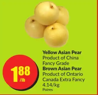 FreshCo Yellow asian pear product of china fancy grade brown asian pear product of ontario canada extra fancy 4.14/kg offer