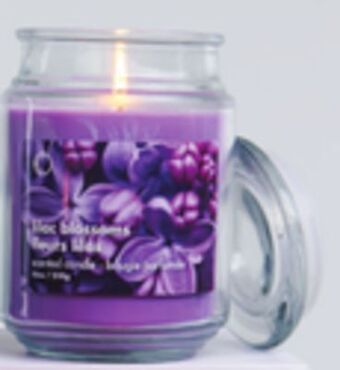 Giant Tiger Jar candle offer