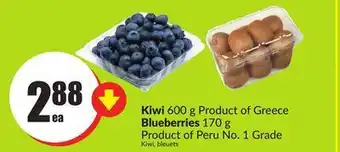 Chalo FreshCo Kiwi 600 g product of greece blueberries 170 g product of peru no. 1 grade offer
