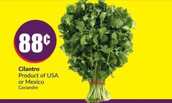 Chalo FreshCo Cilantro product of usa or mexico offer
