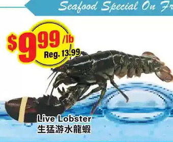Btrust Supermarket Live lobster offer