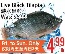 Bestco Food Mart Live black tilapia offer