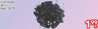 Superking Supermarket Live mussel offer