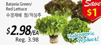 Galleria Supermarket Batavia green/red lettuce offer