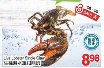 T&T Supermarket Live lobster single claw offer