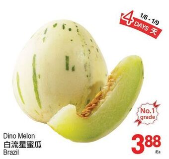 T&T Supermarket Dino melon offer