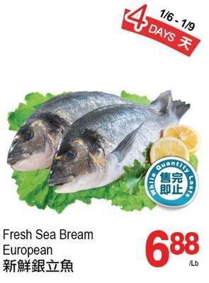 T&T Supermarket Fresh sea bream european offer