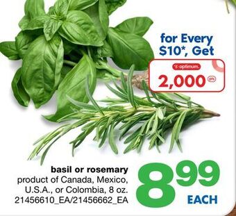 Wholesale Club Basil or rosemary, 8 oz. offer