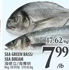 Al Premium Food Mart Sea green bass/sea bream offer