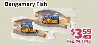 Blue Sky Supermarket Bangamary fish offer