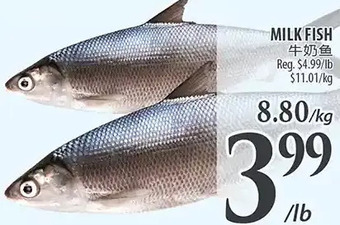 Al Premium Food Mart Milk fish offer
