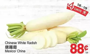 T&T Supermarket Chinese white radish offer