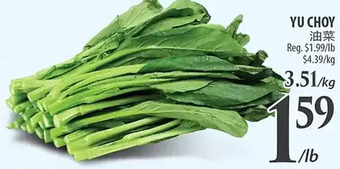 Al Premium Food Mart Yu choy offer