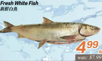 Seasons Foodmart Fresh white fish offer