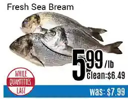 Nations Fresh Foods Fresh sea bream offer