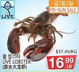 H-Mart Live lobster offer