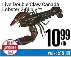 Nations Fresh Foods Live double claw canada lobster offer