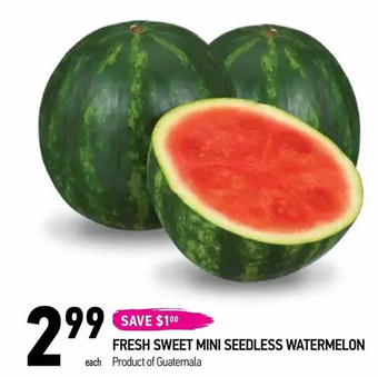 Coppa's Fresh Market Fresh sweet mini seedless watermelon offer
