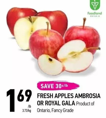 Coppa's Fresh Market Fresh apples ambrosia or royal gala offer