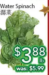 Ample Food Market Water spinach offer