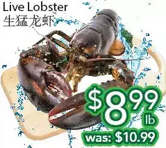 Ample Food Market Live lobster offer