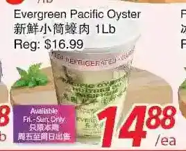Foody World Evergreen pacific oyster offer
