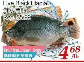 Tone Tai Supermarket Live black tilapia offer