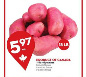 Giant Tiger 15 lb Red Potatoes offer