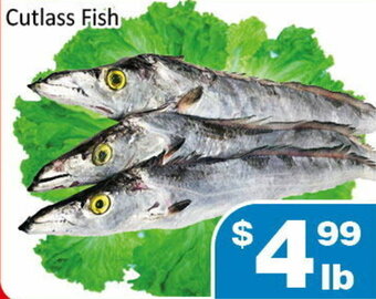Cutlass fish