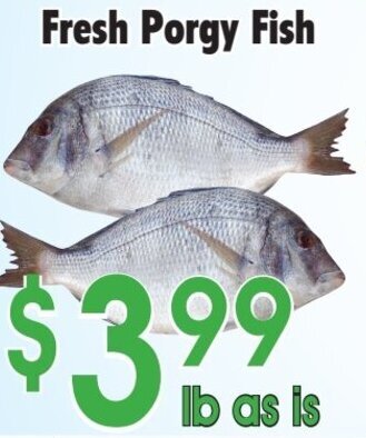 Danforth Food Market Fresh Porgy fish offer