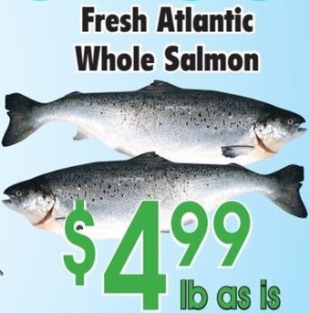 Danforth Food Market Fresh Atlantic whole salmon offer
