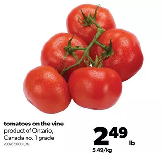 Real Canadian Superstore Tomatoes on the vine offer