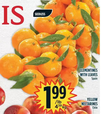 Marché Adonis Clementines with leaves offer