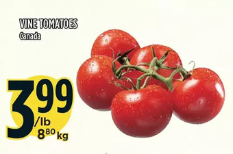 Marché Adonis Vine tomatoes offer
