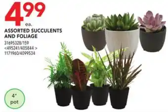 Lowe's Assorted succulents and foliage offer