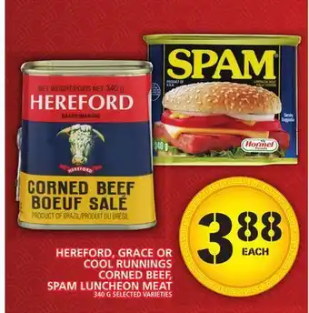 Food Basics Hereford, grace orcool runningscorned beef, spam luncheon meat offer