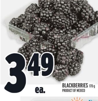Metro Blackberries offer