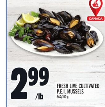 Metro Fresh live cultivated p.e.i. mussels offer