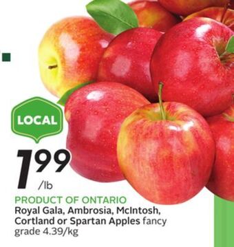 Sobeys Royal gala, ambrosia, mcintosh, cortland or spartan apples offer