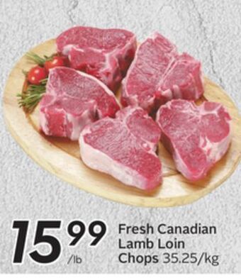 Sobeys Fresh canadian lamb loin chops offer