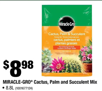 Home Depot Miracle-gro cactus, palm and succulent mix offer