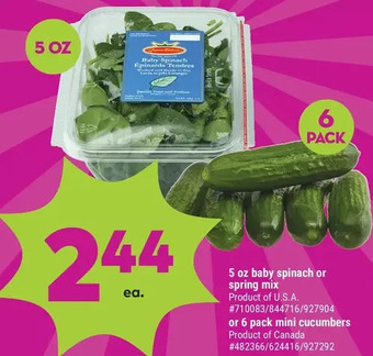 Giant Tiger 5 oz baby spinach or spring mix offer
