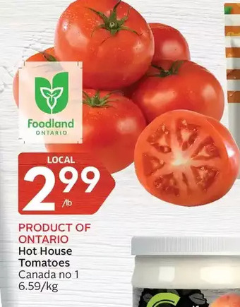 Foodland Hot house tomatoes offer