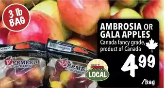 Farm Boy Ambrosia or gala apples offer