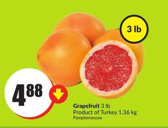 FreshCo Grapefruit 3 lb product of turkey 1.36 kg offer