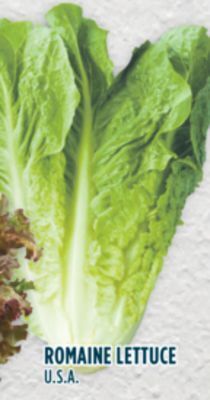 Marché Adonis Romaine lettuce offer
