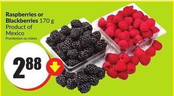 FreshCo Raspberries or blackberries 170 g product of mexico offer