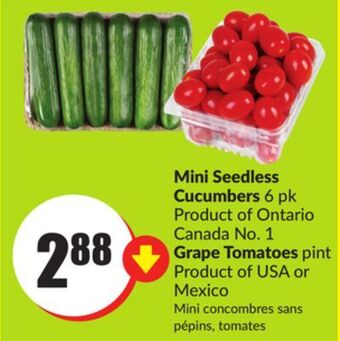 Chalo FreshCo Mini seedless cucumbers 6 pk product of ontario canada no. 1 grape tomatoes pint product of usa or mexico offer
