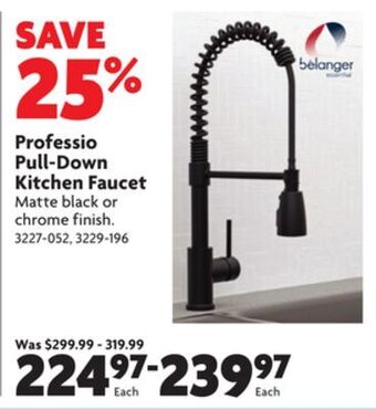 Home Hardware Professio pull-down kitchen faucet offer